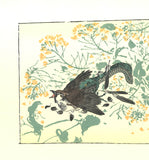 Kawanabe Kyosai - Hebi to Suzume (Snakes and sparrows) - Free Shipping