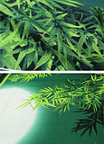 Nihon no shiki - Nihon no Natsu  日本の夏  (Japanese summer)   (Japanese Wrapping Cloth)
