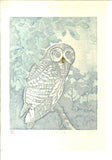 Takenaka Fu - Shiawase mitsumete (Staring at happiness) (Limited Edition 27)  - Free Shipping
