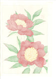 Kawarazaki Shodo - F12 Shakuyaku ( Peony) - Free Shipping