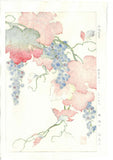 Osuga Yuichi - Yama Budo (Mountain grape) - Free Shipping
