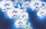 Saikosha - #005-01 Phalaenopsis orchid (Cloisonné ware ornamental plate) - Free Shipping