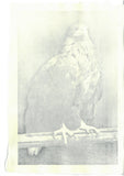 Kitamura  Shoichi - # KS3  Washi  (Eagle)  First Edition 2022 - Free Shipping