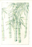 Osuga Yuichi - F182 Take  (Bamboo) - Free Shipping