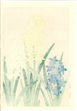 Kawarazaki Shodo - F72 Hyacinth - Free Shipping