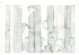 Kamisaka Sekka - #11 Asagao (Morning glory) - Free Shipping