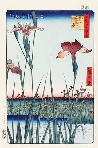 Utagawa Hiroshige - No.064 Horikiri Iris Garden  堀切の花菖蒲 - Free Shipping