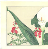 Tanigami Konan (1879~1928) -  Color lily - Free Shipping　　