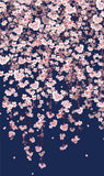 Nihon no shiki - Nihon no Haru (Japanese spring) 118 x 118 cm  (Japanese Wrapping Cloth)