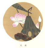 Ito Jakuchu - Hasu (Lotus) - Free Shipping