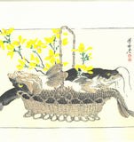 Kawanabe Kyosai - Koi to Namazu ( Caro & Catfish) - Free Shipping
