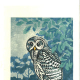 Takenaka Fu - Shiawase mitsumete (Staring at happiness) (Limited Edition 27)  - Free Shipping