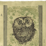 Simomura Ryosuke - Owl - Japanese traditional woodblock print  Limited Edition - Free Shipping