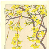 Kawarazaki Shodo - F95 Rengyo (Forsythia) - Free Shipping