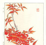 Osuga Yuichi - F181 Nanten (heavenly bamboo) - Free Shipping