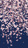 Nihon no shiki - Nihon no Haru 日本の春   (Japanese spring)   (Japanese Wrapping Cloth) 50 x 50 cm