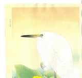 Fukuda Suiko - Shirasagi & Kawahone - Free Shipping