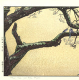 Yoshida Toshi - #015106 Jyuzu kake no Ume (Plum tree ＆ Blue Magpie) - Free Shipping
