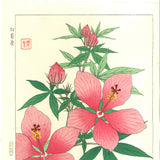 Kawarazaki Shodo - F84 Hibiscus - Free Shipping