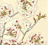 Kawarazaki Shodo - F019 Sakura (Cherry Blossoms)