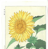 Kawarazaki Shodo - F87  Himawari (Sunflower) - Free Shipping