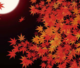 Nihon no shiki - Nihon no Aki (Japanese autumn) 118 x 118 cm  (Japanese Wrapping Cloth)