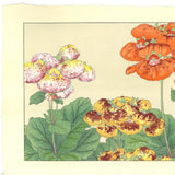 Tanigami Konan (1879~1928) -  Calceo Lario - Free Shipping　　
