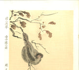 Maruyama Okyo -  Monkey in Snow - Free Shipping
