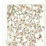 Kuzuhara Teru - F143 Sakura Sakura 　しだれ桜　 (Weeping cherry tree) -  Free Shipping