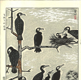 Kasamatsu Shiro - SK37 Umiu no Mure  (Flock of Temminck's cormorant) - Free Shipping