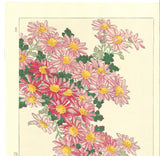 Kawarazaki Shodo - F36 Kiku (Chrysanthemum) - Free Shipping