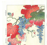 Osuga Yuichi - Yama Budo (Mountain grape) - Free Shipping