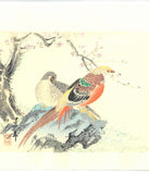 Imao Keinen - Koubai (Red Plum & Birds) - Free Shipping