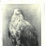 Kitamura  Shoichi - # KS3  Washi  (Eagle)  First Edition 2022 - Free Shipping