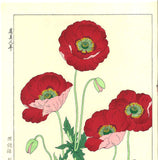 Kawarazaki Shodo - F123 Keshi (Poppy)  - Free Shipping