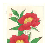 Kawarazaki Shodo - F12 Shakuyaku ( Peony) - Free Shipping