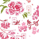 Kenema  - Sakura Zuhan  桜図鑑 (The dyed Tenugui)
