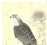 Fukuda Suiko - Taka (Hawk) - Free Shipping
