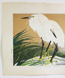 Tsuchiya Rakuzan - Hanasekishow ni Minoshirasagi - Free Shipping　