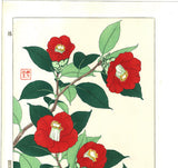 Kawarazaki Shodo - F48 Tsubaki (Japanese Camellia)  - Free Shipping