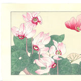 Tanigami Konan (1879~1928) -  Cyclamen - Free Shipping　　