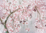 Saikosha - #006-02 Shidare Sakura (Cloisonné ware ornamental plate) 30.00 cm - Free Shipping