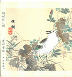 Kono Bairei  - Waremokou to Mukudori - Free Shipping