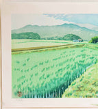 Mibugawa Junichi - Haru ta Kaze (Spring breeze rice field)  (春田風)  - Free Shipping