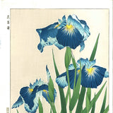 Kawarazaki Shodo - F3 Hanashobu (Japanese Iris) - Free Shipping