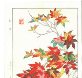 Osuga Yuichi - Momiji (Autumn leaves) - Free Shipping