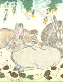 Kawanabe Kyosai - Rabbit - Free Shipping
