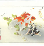 Tsuchiya Rakuzan - Kingyo ni Medaka (Goldfish with Medaka) - Free Shipping　
