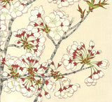 Kawarazaki Shodo - F019 Sakura (Cherry Blossoms)