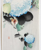 Ohara  Koson - Ajisai ni suzume  (Sparrow on Hydrangea) - Free Shipping
